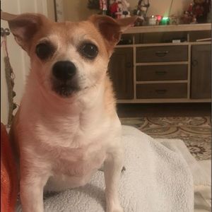 Meet your Posher, Tracey